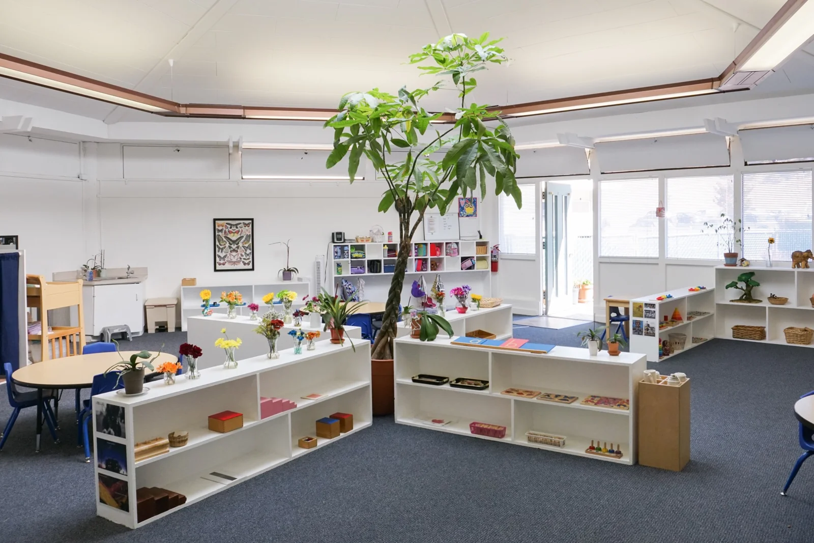 Corte Madera Montessori campus photo
