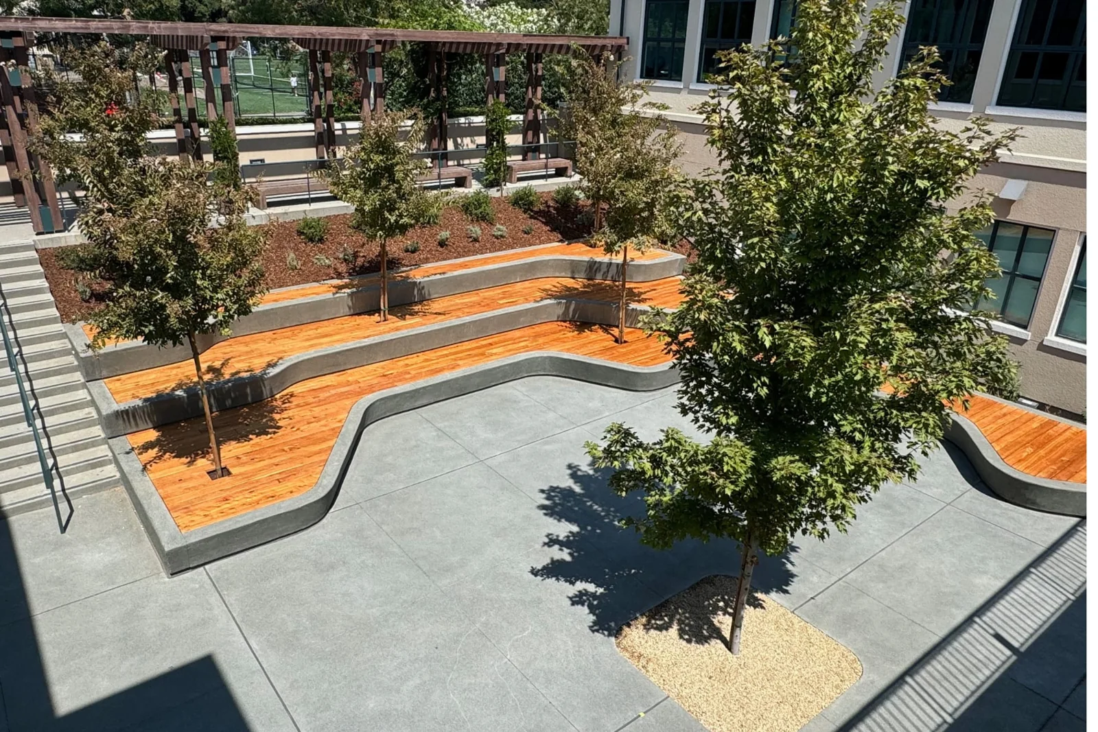 Marin Academy campus photo