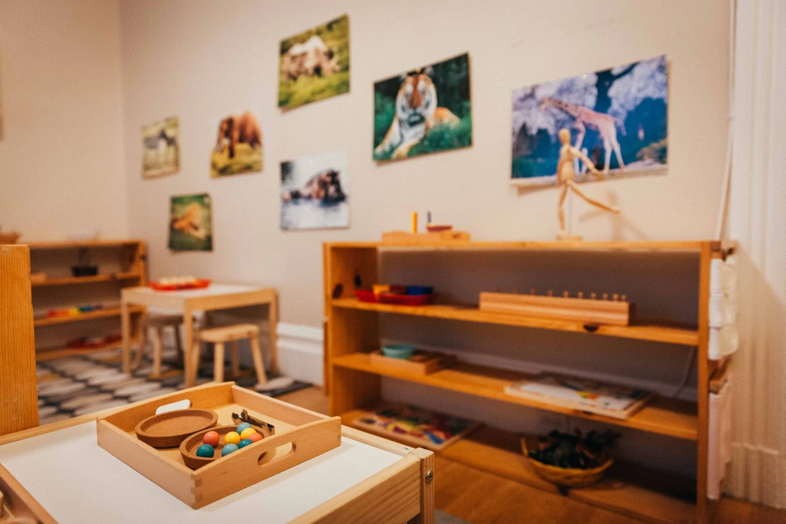Miss Audrey's Montessori campus photo