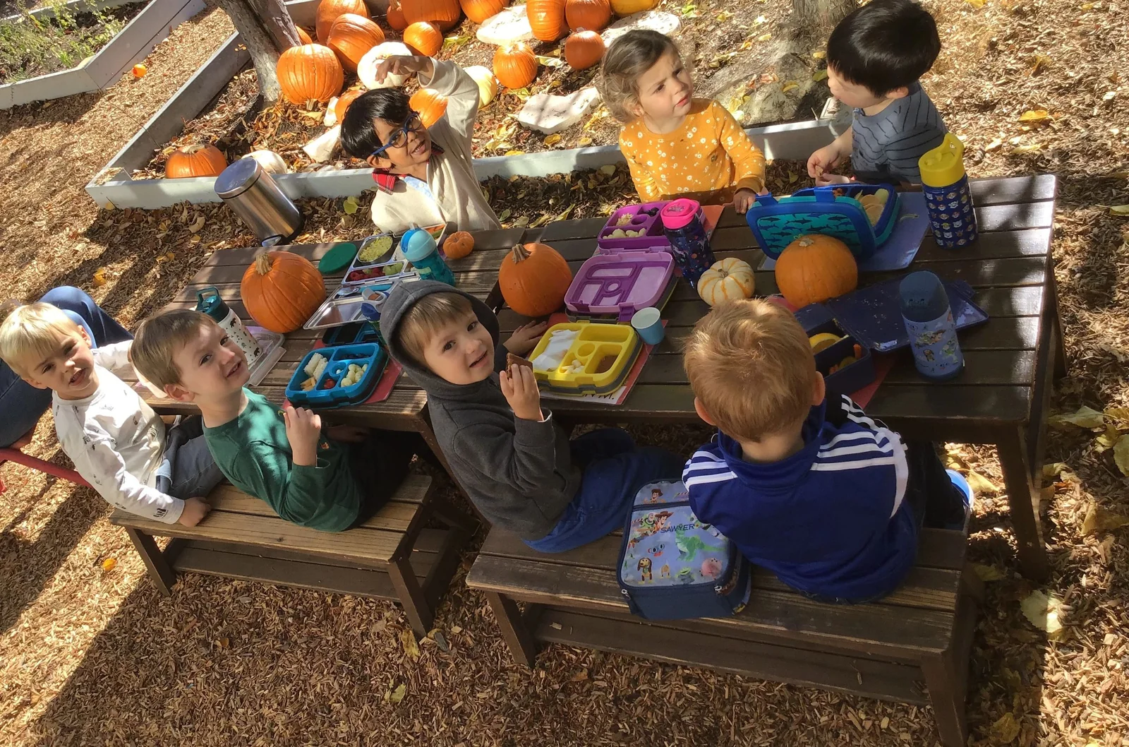 Strawberry Preschool campus photo